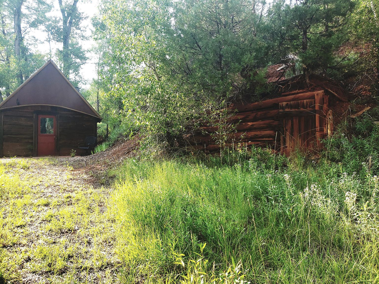 P 58th Rd, Placerville, CO 81430 MLS 41165 Zillow