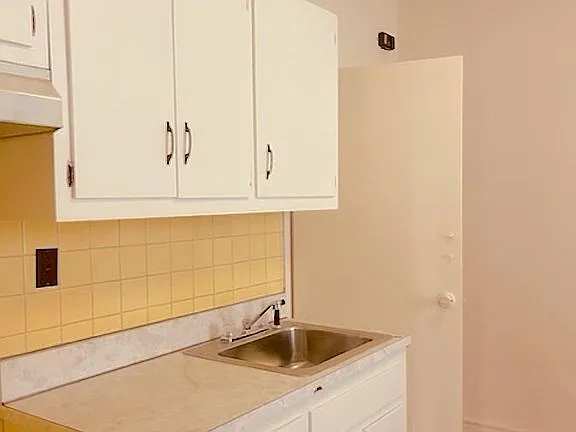 3 bed, 1100 sqft, $3,000 — Photo 4