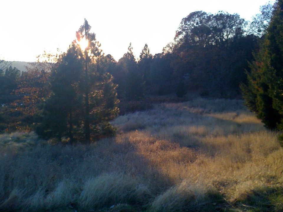 1st image of 7190 Maidu Dr