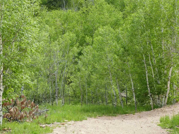 789 Stage Run Rd, Deadwood, SD 57732