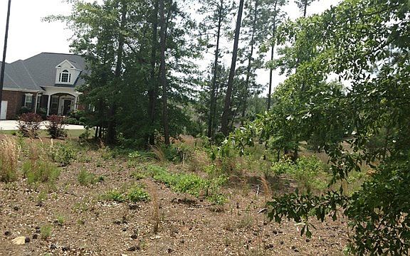 3rd image of 145 Sterling Grove Cir