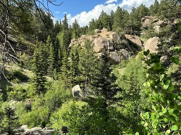 W Highway 24, Florissant, CO 80816