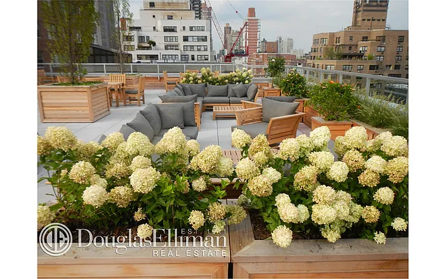 Sold by Douglas Elliman | media 4