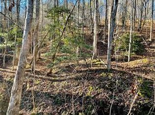 50 Old Stamp Mill Rd #50, Dahlonega, GA 30533