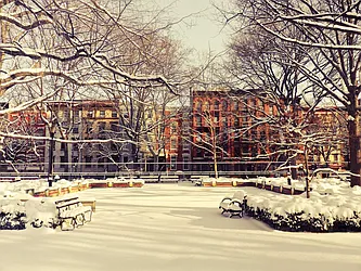 Rented by Town Residential