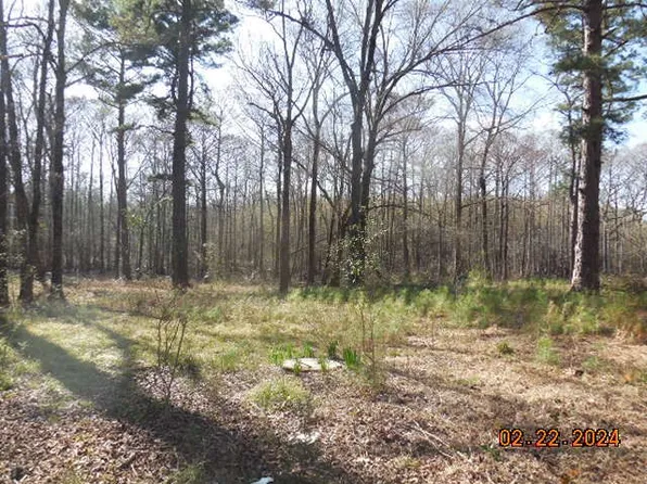 10589 Ferry Lake School Rd, Oil City, LA 71061