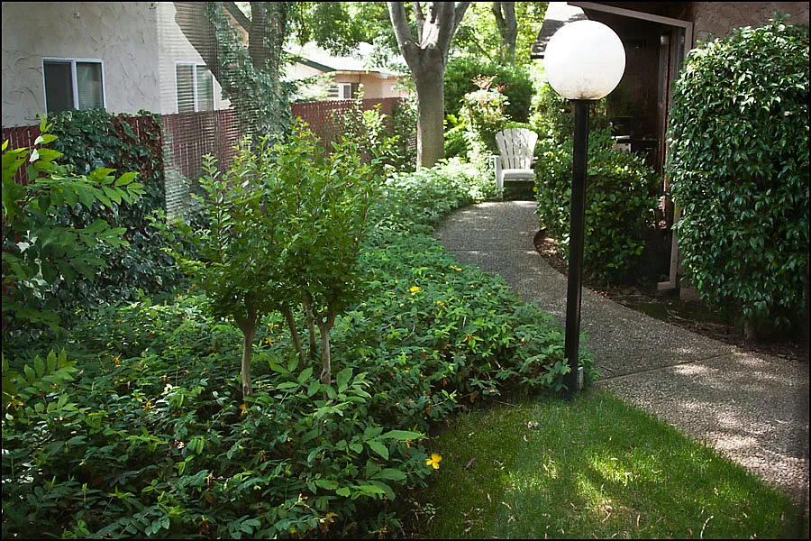 Sandalwood Apartments — Photo 3