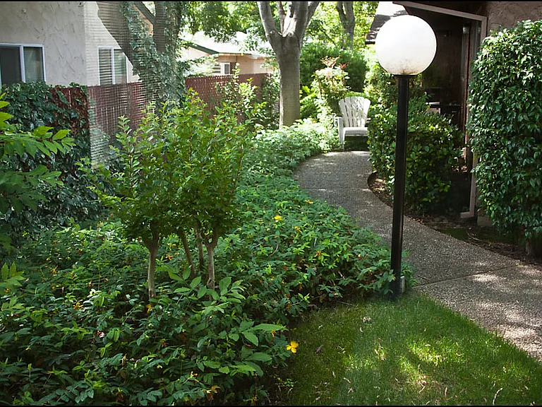 Sandalwood Apartments — Photo 3