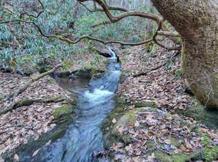 769AC Webb Creek Rd, Andrews, NC 28901