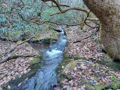 683AC Webb Creek Rd, Andrews, NC, 28901