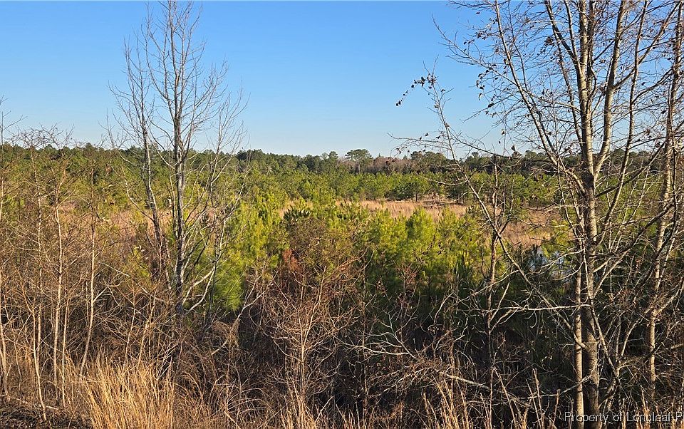 2nd image of 3 Josey Williams Rd