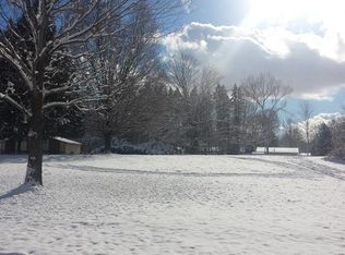 226 Mill St, Saranac, MI