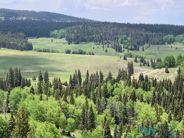 State Forest Rd #93, Tres Piedras, NM 87577