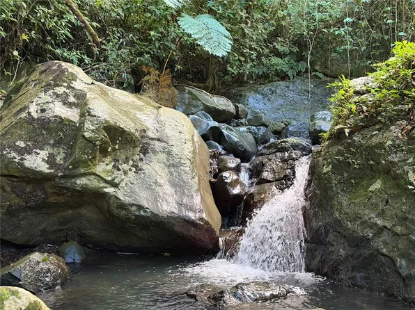 Cam La Vega, Orocovis, PR 00720