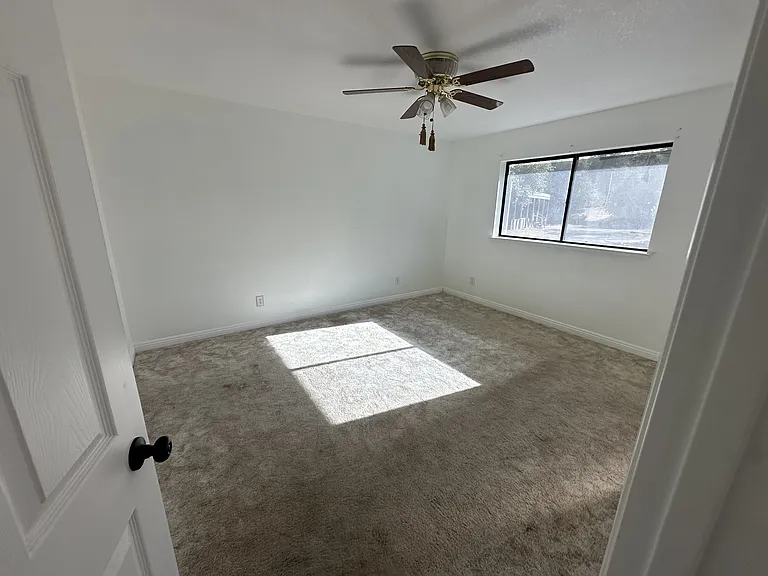 33030 Road 233 — Photo 11