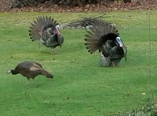 3066 Fillmore St, Jenison, MI 49428