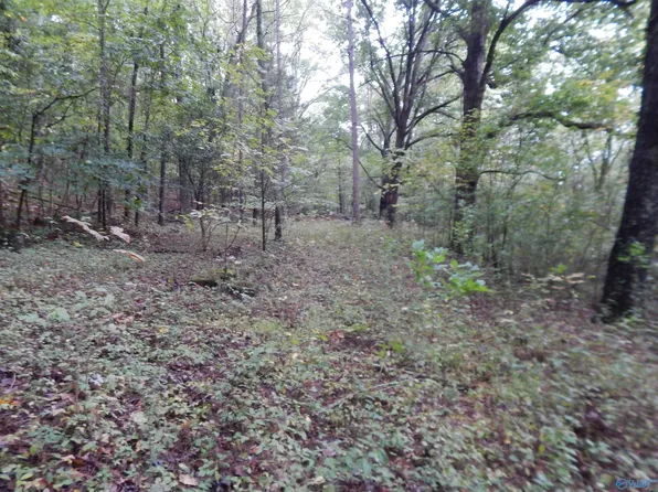 Cemetary Rd, Fort Payne, AL 35967