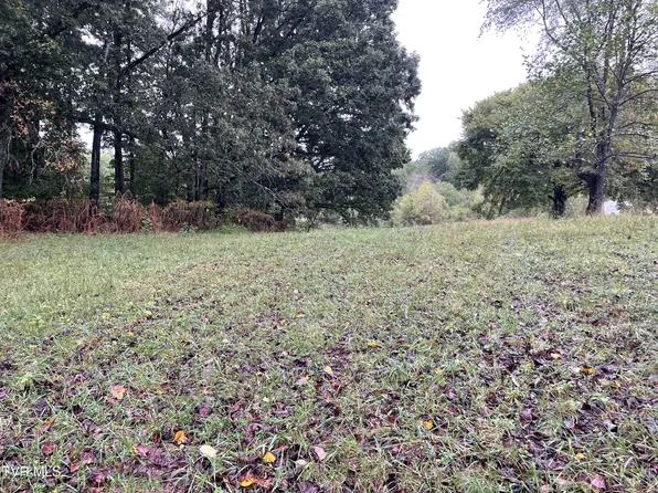 0 Lloyds Chapel Rd, Mount Carmel, TN 37645