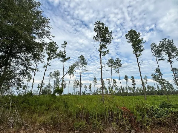 J S King Rd, Franklinton, LA 70438