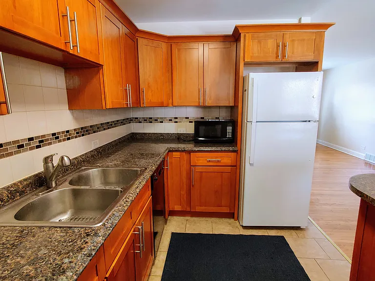 2435 W Balmoral Ave #1N — Photo 7