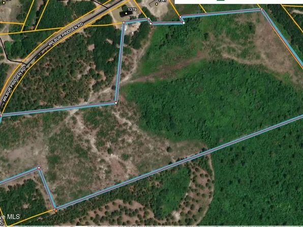 0 Wilbur Pridgen Road, Harrells, NC 28444