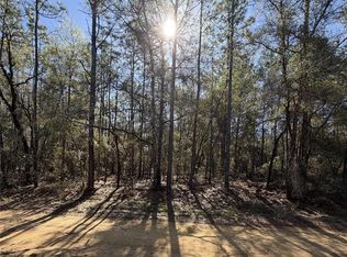 SE 7th Ave Lot 19, Interlachen, FL 32148