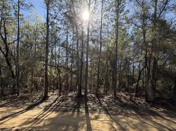 SE 7th Ave Lot 19, Interlachen, FL 32148