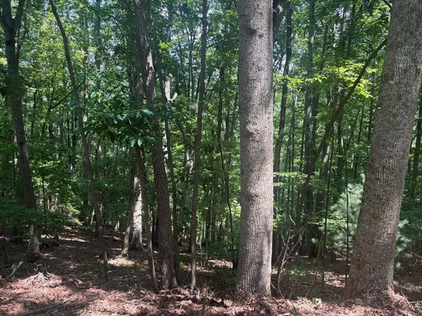 2 Doc Thomas Ridge Rd, Blairsville, GA 30512