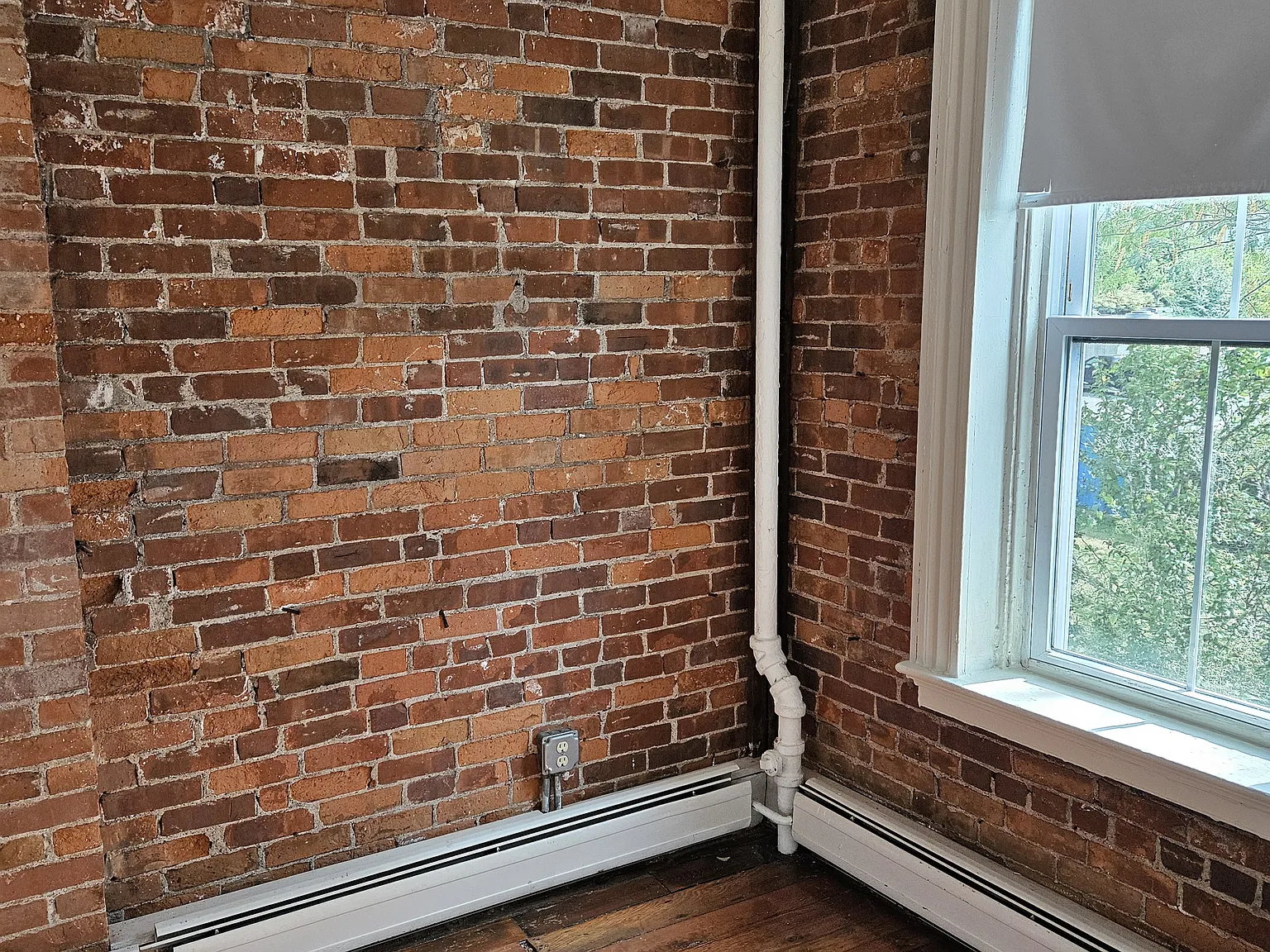 1 bed, 725 sqft, $1,600 — Photo 4