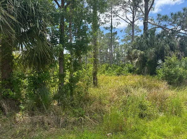 1458 Transcoro St SE, Palm Bay, FL 32909