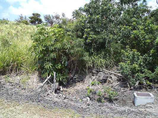 1st image of Hekau St Lot 715
