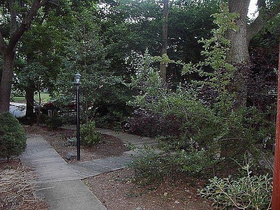 Landscaped Front Yard