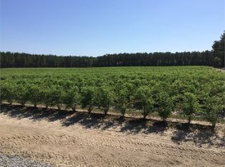 342 Eddie Avery Rd, Climax, GA 39834