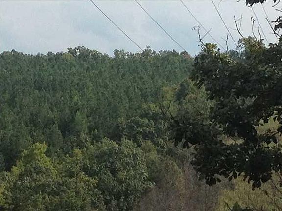 3rd image of 10360 S Pittsburg Mountain Rd #3
