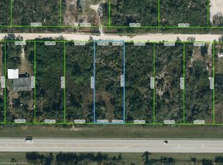 145 Flagler St, Lake Placid, FL 33852