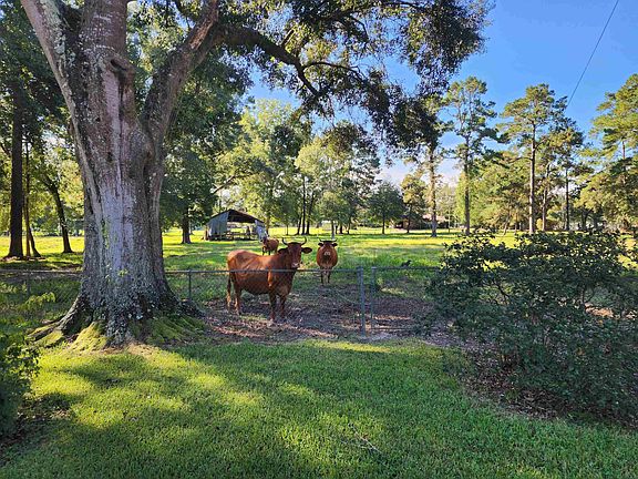 2nd image of 1238 Hayes Rd