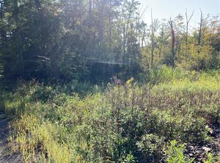 454 Ouaquaga Rd, Harpursville, NY 13904