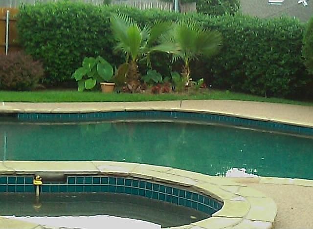 Lagoon Like Pool w-Pebble surface