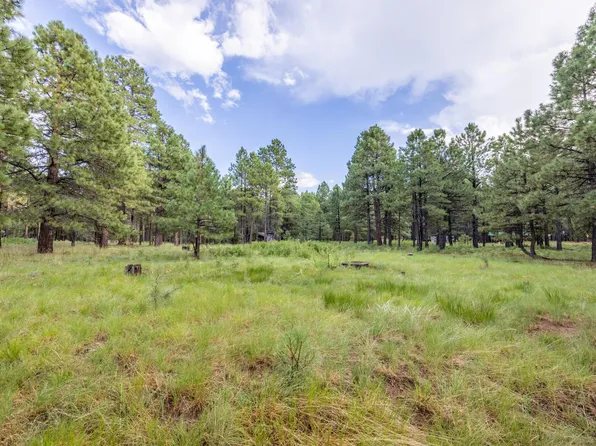 2265 Skunk Way, Forest Lakes, AZ 85931