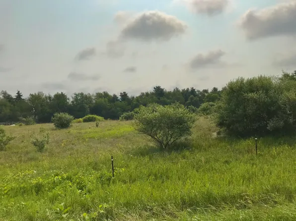 LOT Buckhorn Rd #G, Three Rivers, MI 49093