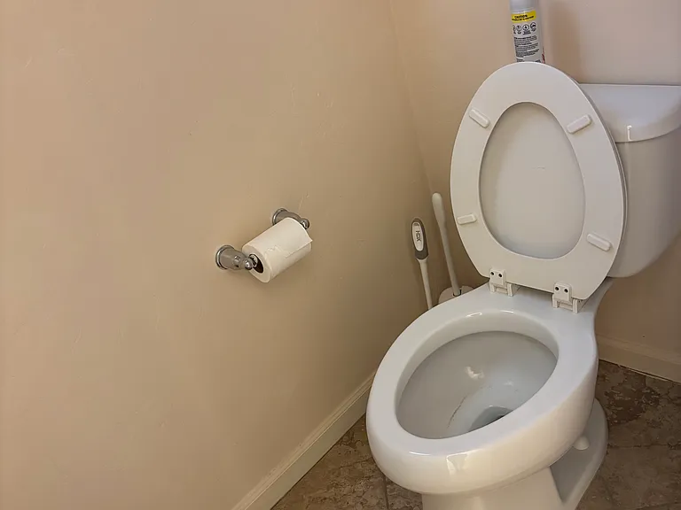 Master Toilet