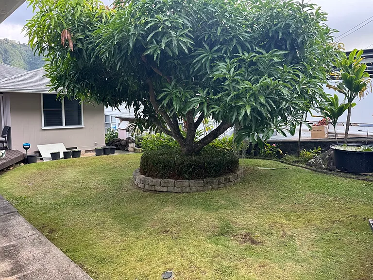 Lanikaula St — Photo 3