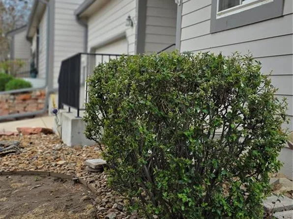 180 Cobblestone Drive, Colorado Springs, CO 80906