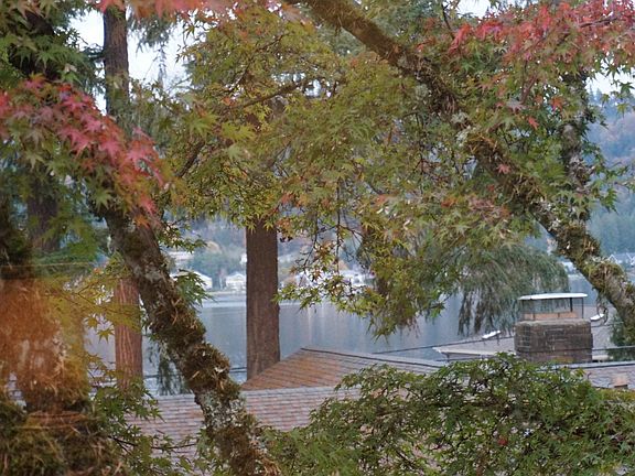 Lake View from living room