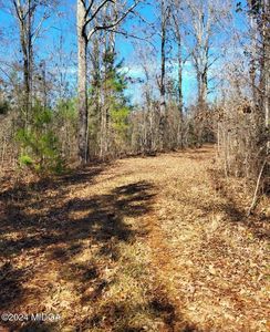 Abercrombie Rd, Forsyth, GA, 31029