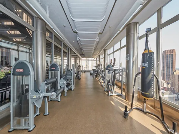 445 Fifth Avenue image 17 of 24