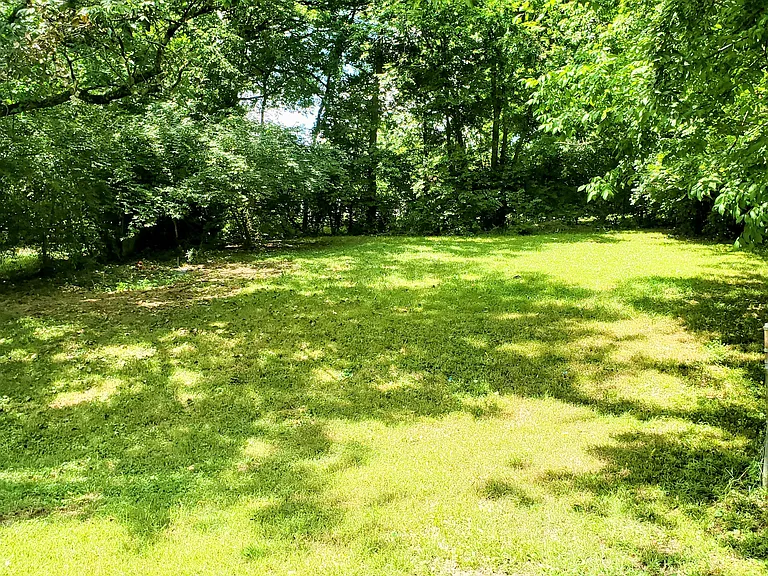 Pet friendly fully fenced