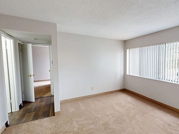Cozy, Plush Carpeting