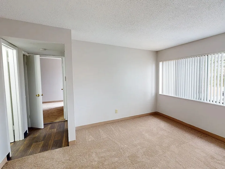 Cozy, Plush Carpeting