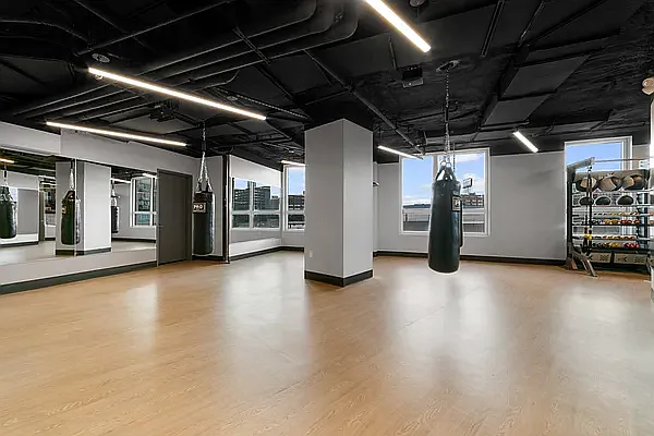 Rented by MNS | media 51